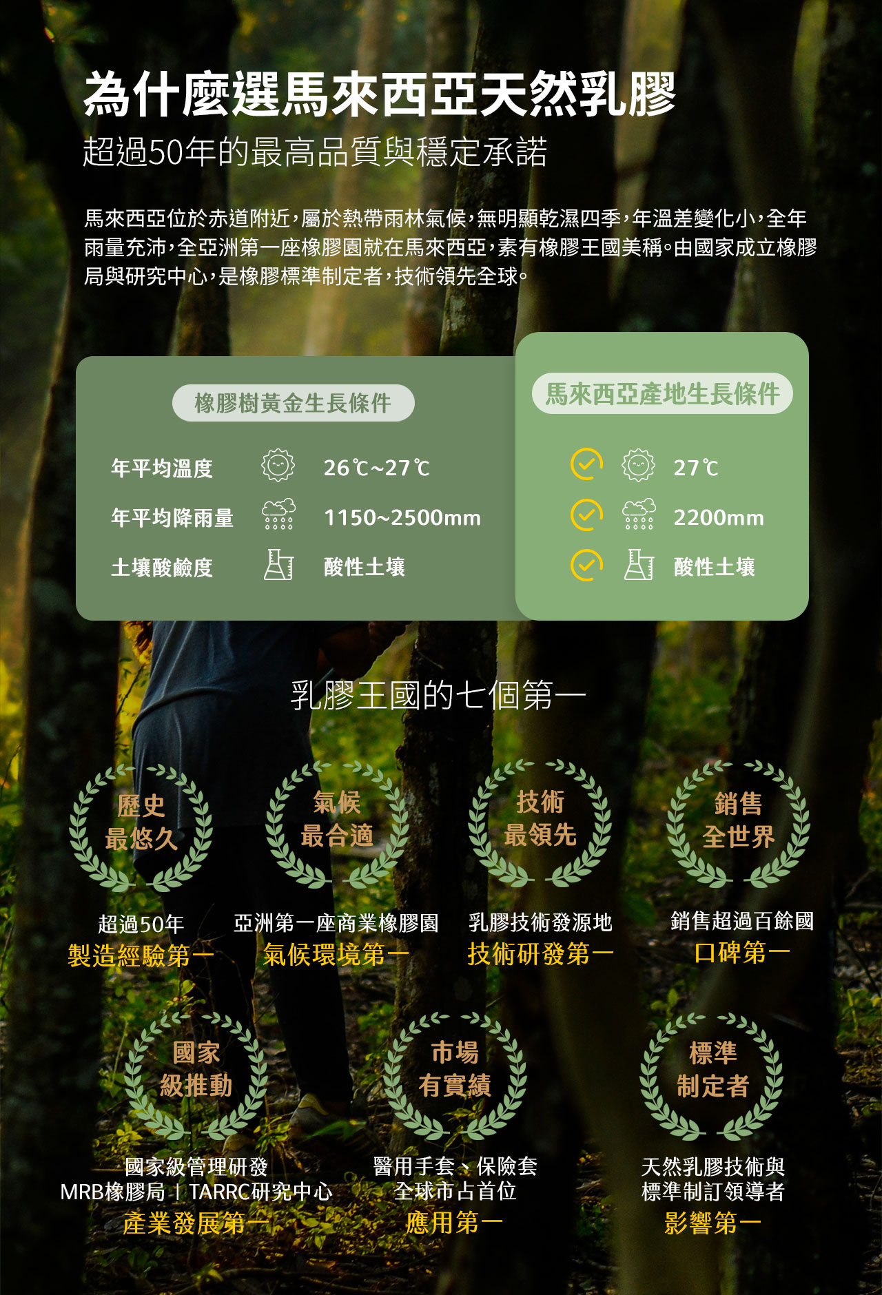 為什麼選馬來西亞天然乳膠，因為馬來西亞天然乳膠有七個第一