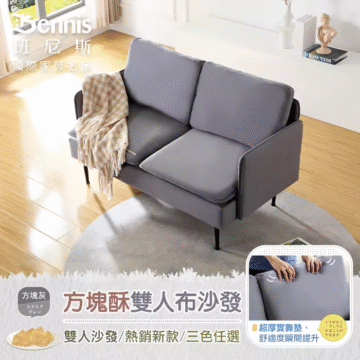 Bennis 班尼斯 國際家具名床 方塊綠 方塊酥雙人布沙發 雙人沙發/熱銷新款/三色任選 STNG C 可移動式坐墊 輕巧方便不費力